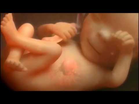 Defending Slavery: Abolition of Abortion Le Miracle de ta Vie : les 9 mois de Grossesse mois par mois en vidéo !