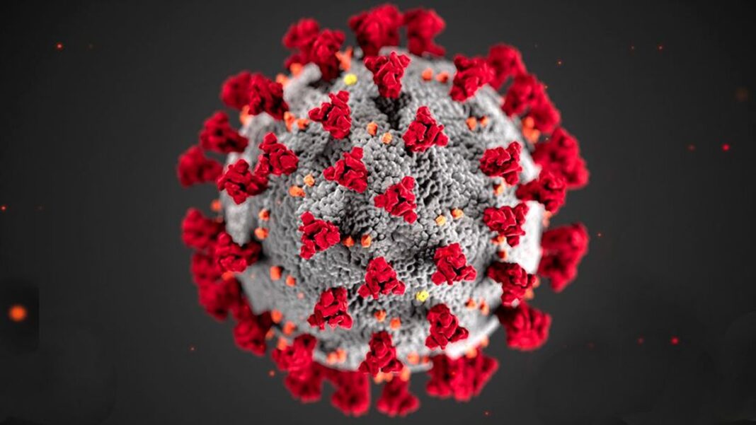Coronavirus