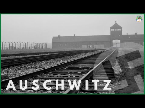 Nazis Based Their Radical Treatment of Disabled, Deficient, Diseased, Deaf, and Dumb People on Flawed Science – Progressives Policies Are Based on Wokeism AUSCHWITZ: The Complete DISTURBING Tour | WARNING: Actual footage