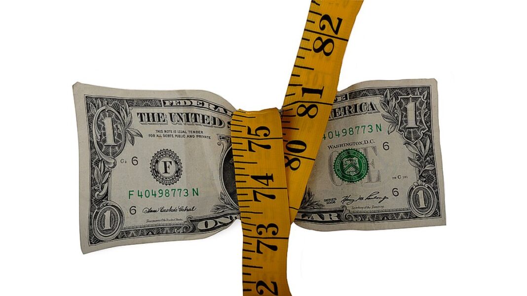 The Federal Spending Diet Book American Dollar on Diet