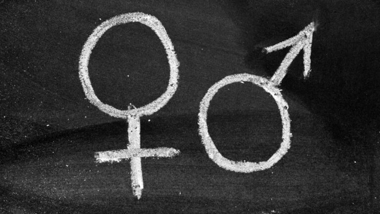 ‘Please stay out of women’s spaces’: Trans Miss Netherlands slammed