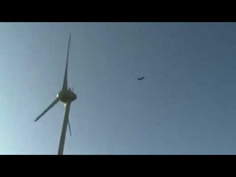 Global Warming Debate Bird vs Wind Turbine FAIL !