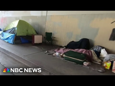 Can homelessness become a focus issue in an election year? Homelessness in U.S. reaches a record high, federal report finds