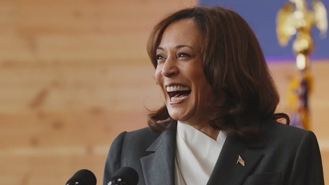 Harris' campaign of 'joy' could soon come to an end: Journalist | NewsNation Live