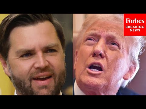 Trump Reacts To JD Vance Saying That Judges Can't Control Executive Power