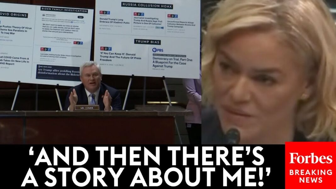 Viewers like you BRUTAL: Comer Accuses NPR CEO Of Publishing 'Disinformation', Brings Up Article Targeting Himself