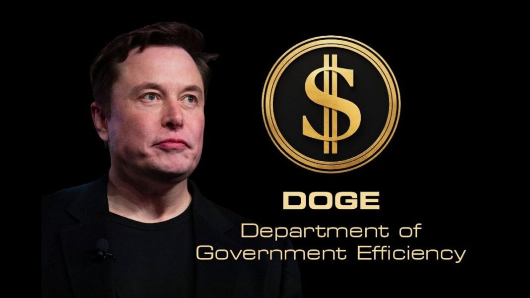 Elon Musk and DOGE