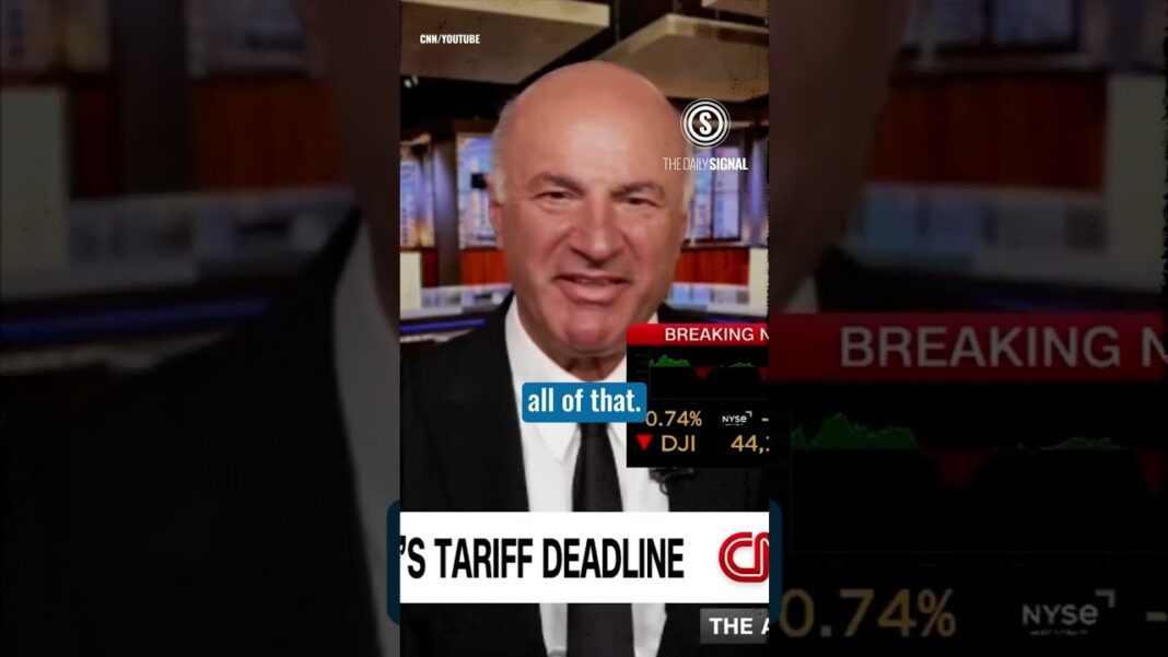 It’s A Constitutional Crisis…Again! Democrats Cry Wolf on Trump Economy Again #shorts #trump #tariffs #sharktank #democrats #politics