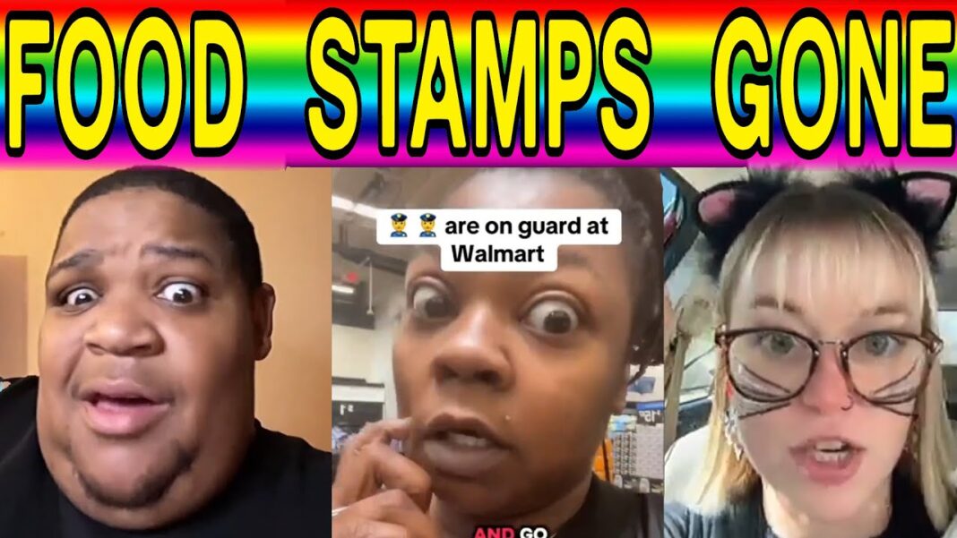 Where Are My Food Stamps?! The Instant Regret of Free-Money Lifestyle