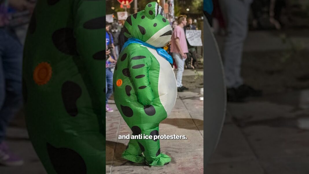 Deflating Portland: Why Antifa Went from Black Blok to Inflatable Costumes Who is the Viral Portland Frog? What to Know About the Costumed Protester #shorts