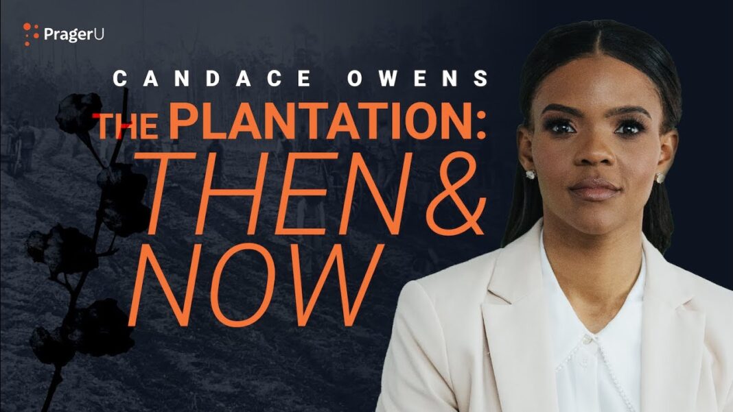 The Great Voter Replacement: Understanding the Modern Democratic Party The Plantation: Then and Now | 5 Minute Video
