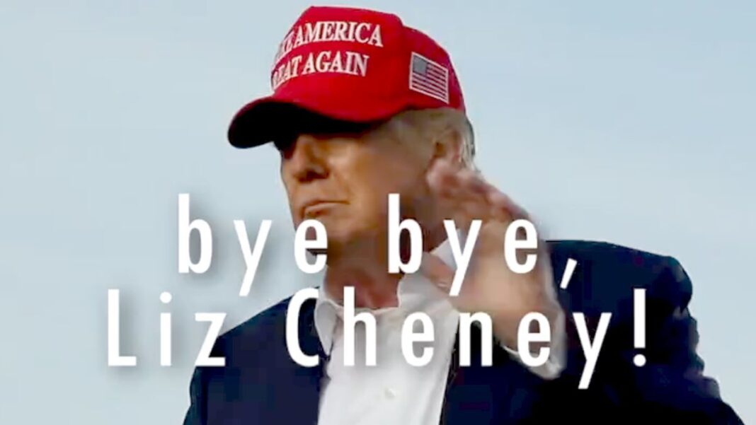 A Thank You Note To “Representative” Liz Cheney Bye, Bye Liz Chaney