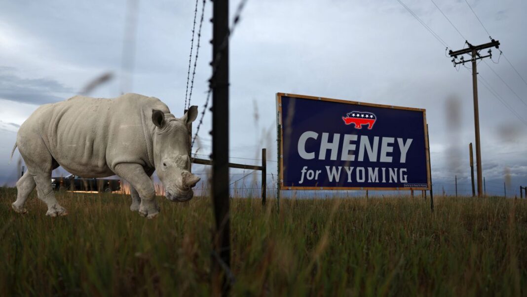 The Real Significance of Liz Cheney’s Political Implosion Liz Cheney Campaign Sign and Rhino