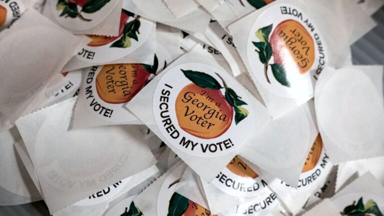 I Secured my Vote in Georgia