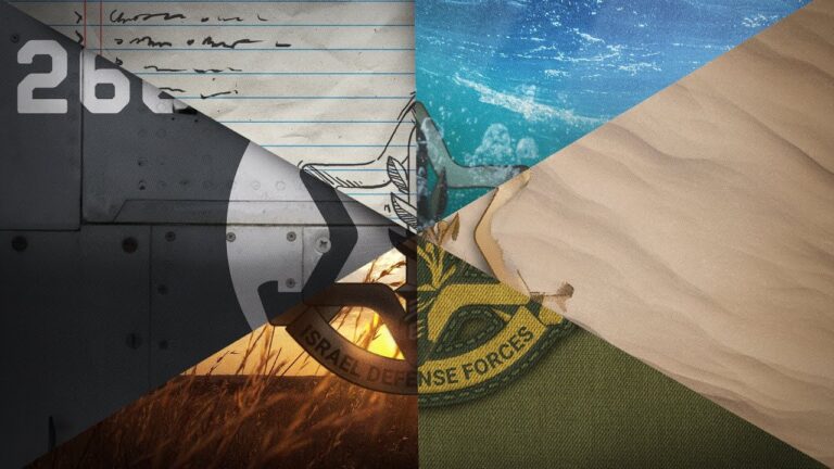 This Is The IDF