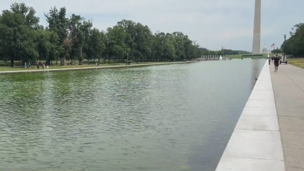 Pool Attacks Reflect The Left’s Insanity Trump: 'Multiple arrests' at Lincoln Memorial Reflecting Pool | Morning in America