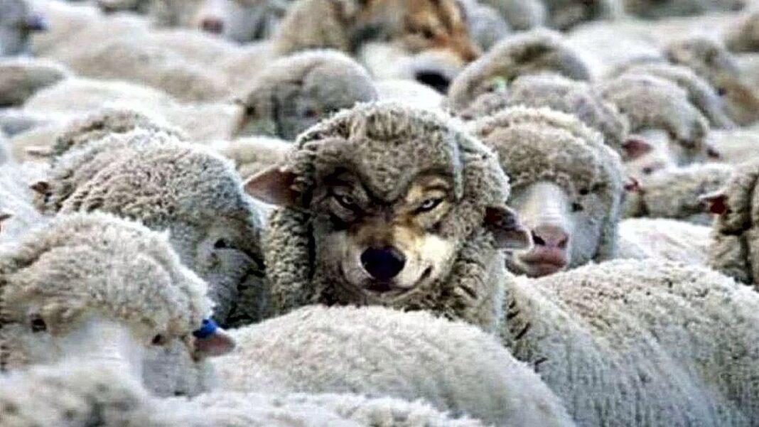 Heartland Democrats: Leftists in “Sheep’s Clothing” A Wolf in sheep's clothing