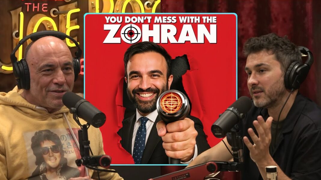 Is It True That Zohran Mamdani Never Had A Job Before Becoming NYC Mayor | Joe Rogan