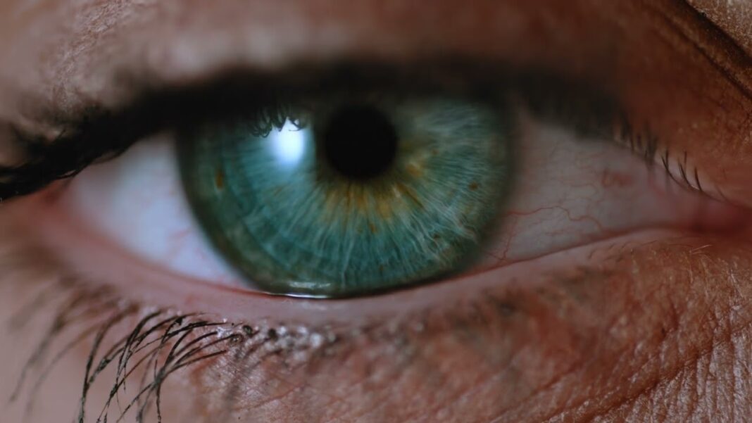 4K Eye | Opening