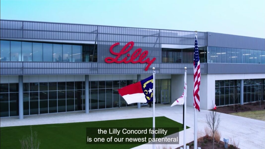 Lilly Concord